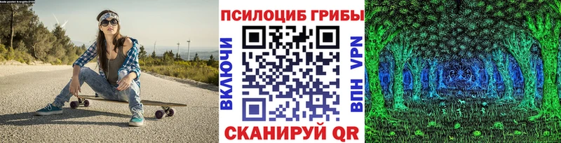 Купить  Нальчик  Галлюциногенные грибы Psilocybine cubensis